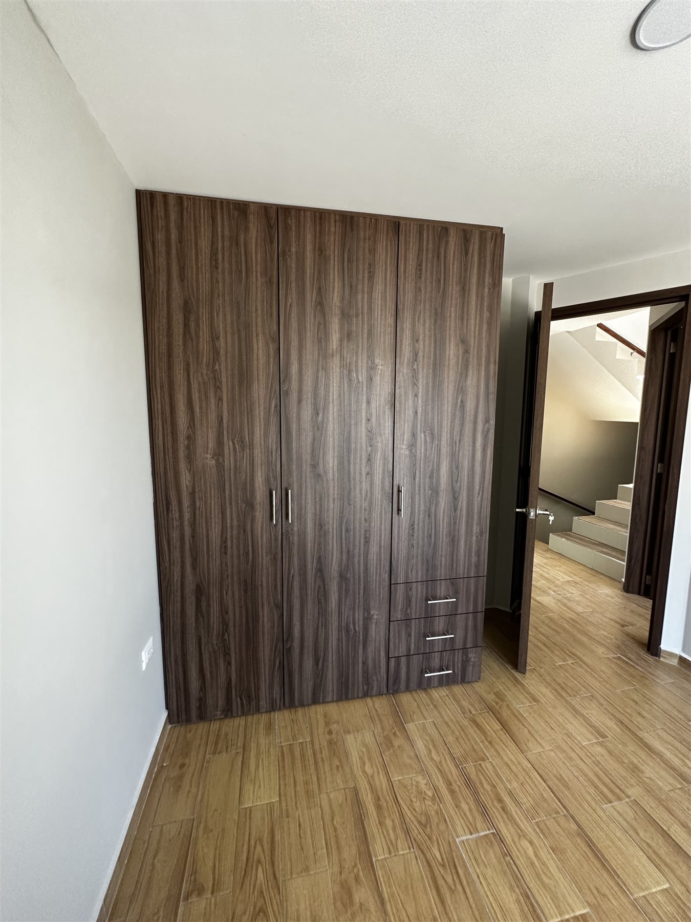 Puerta interior en madera