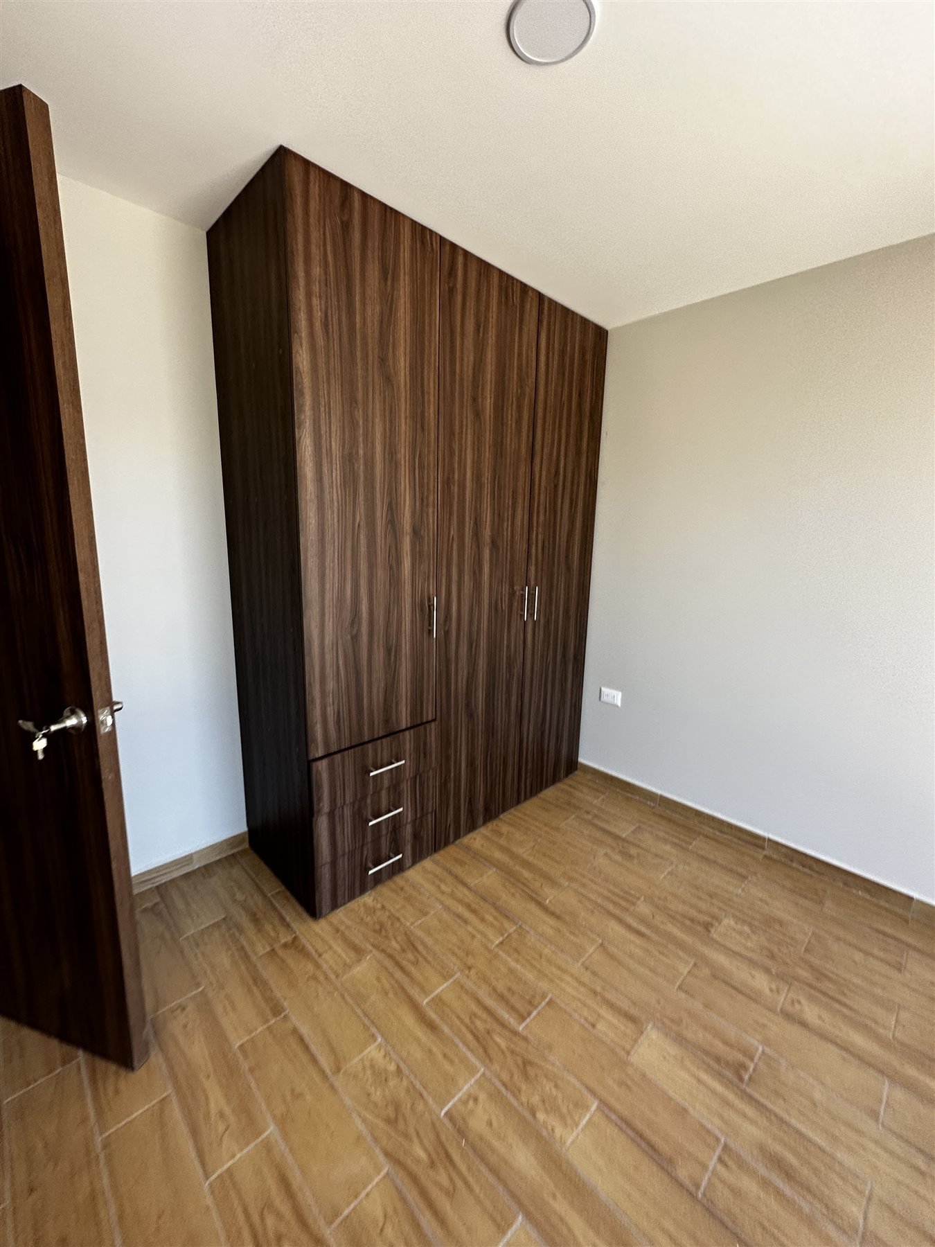 Puerta interior en madera