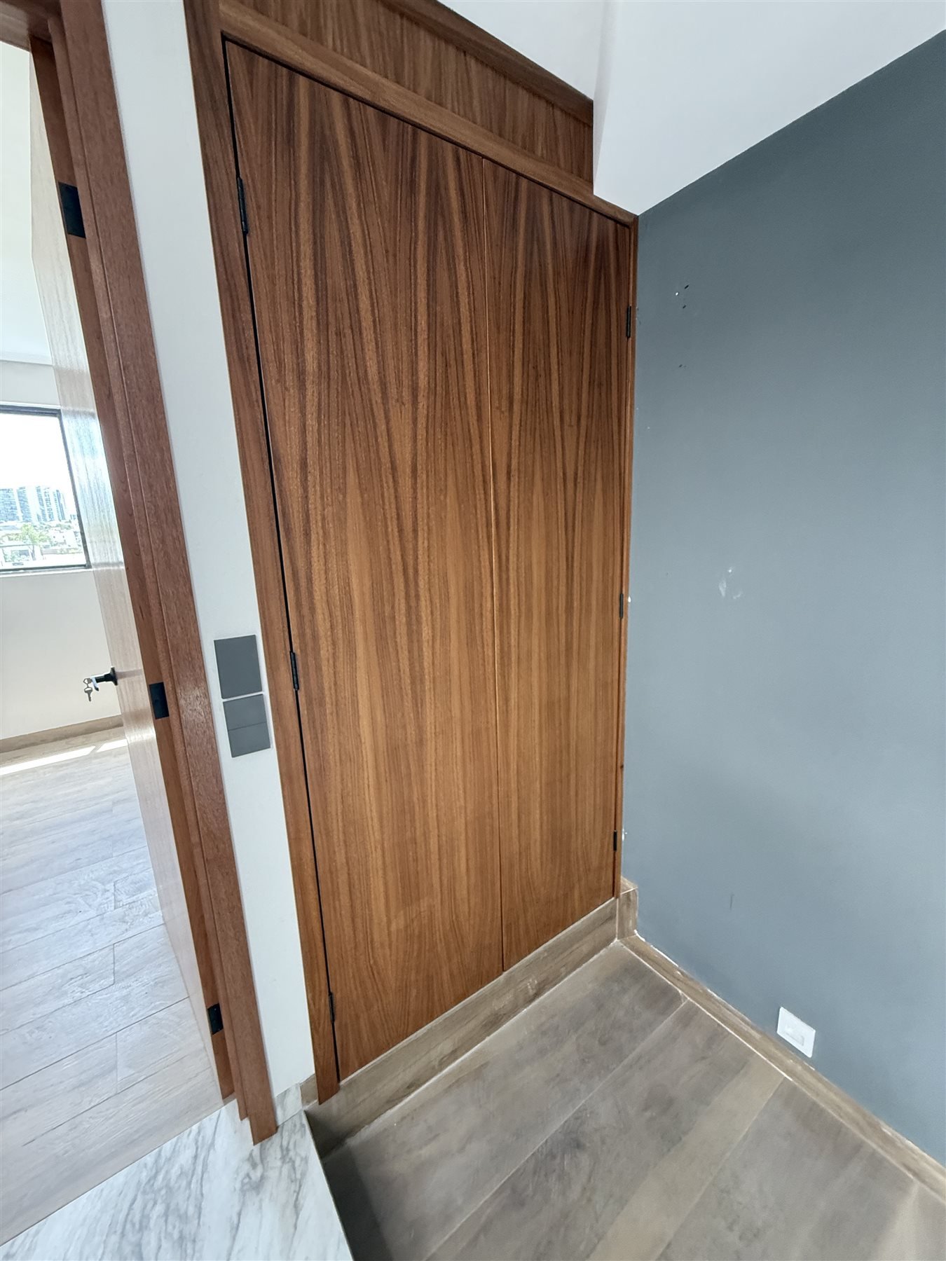 Puerta interior en madera