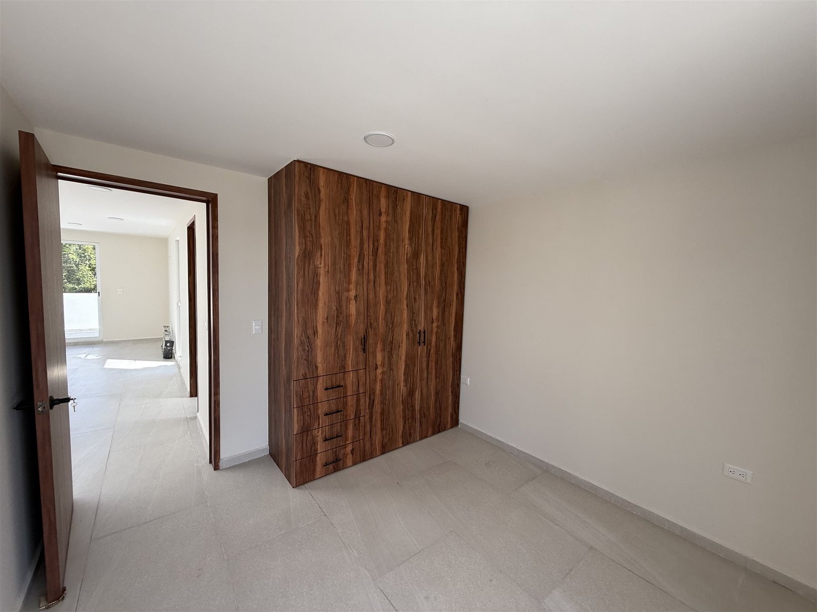 Puerta interior en madera