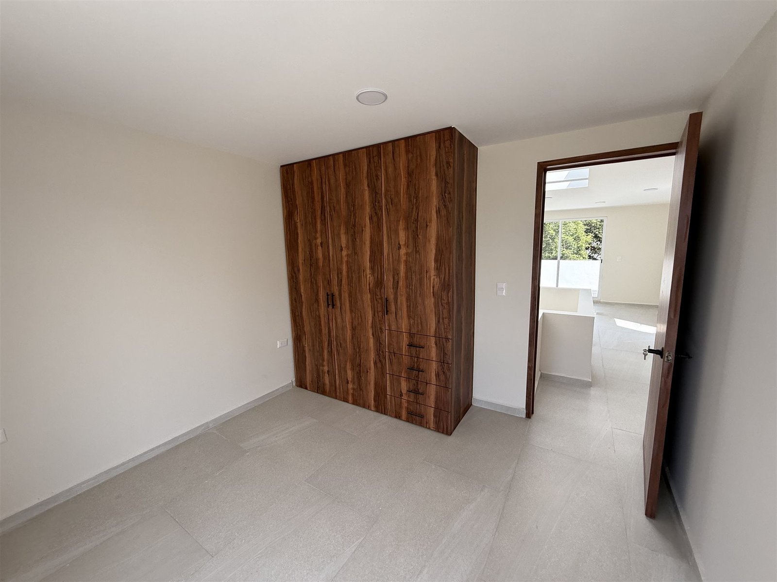 Puerta interior en madera