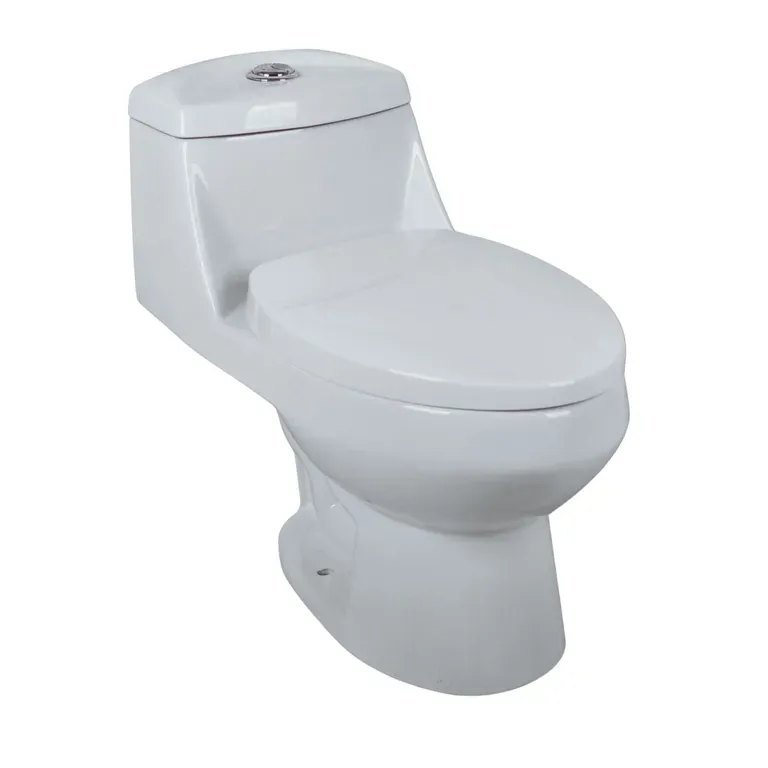 WC one piece